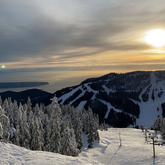 Meet your Posher, Moneeka - Picture 1 of 1